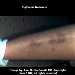 10-15-2012-8-26-27-am