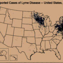 cdc-version-of-extent-oftru-lyme-disease-in-the-usa
